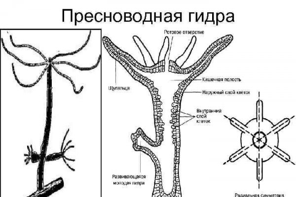 Kraken регистрация